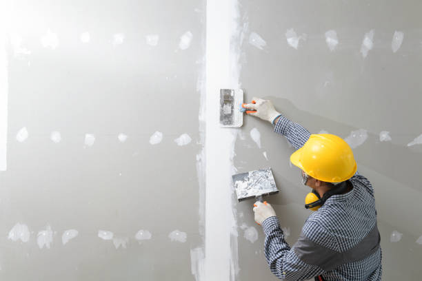 Best Custom Drywall Designs  in Brier, WA