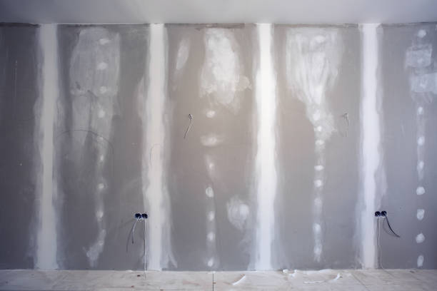 Best Drywall Removal and Disposal  in Brier, WA